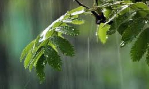 Əksər rayonlara yağış yağıb - Faktiki hava