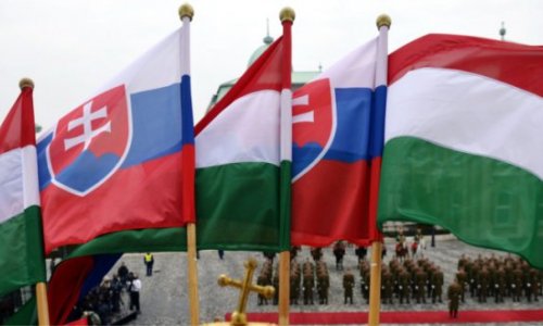 Macarıstan və Slovakiya Gürcüstan hökumətini dəstəkləyib