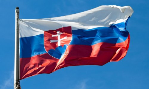 МВД Словакии: Страна стоит на пороге гражданской войны
