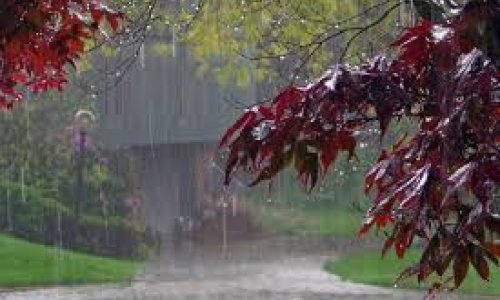 Rayonlara yağış yağır - FAKTİKİ HAVA