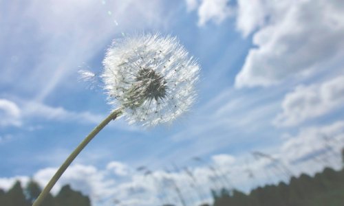 Azerbaijan weather forecast for May 24