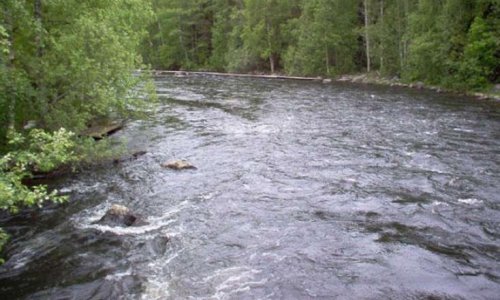 Минэкологии: Уровень воды в реках отслеживается