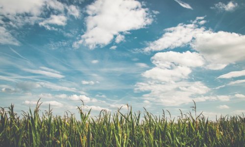 Azerbaijan weather forecast for June 4