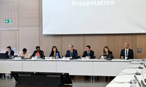 President of COP29 meets reps of Russia, Türkiye