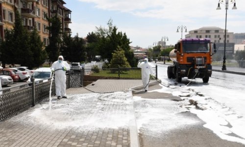 В Баку проведен очередной общегородской субботник