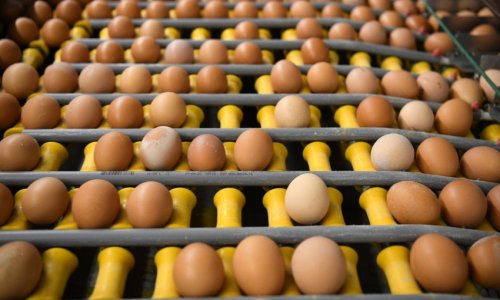 EU restores import duties on Ukrainian sugar, eggs