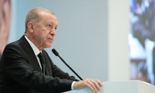 Erdogan says NATO does not meet Türkiye's expectations