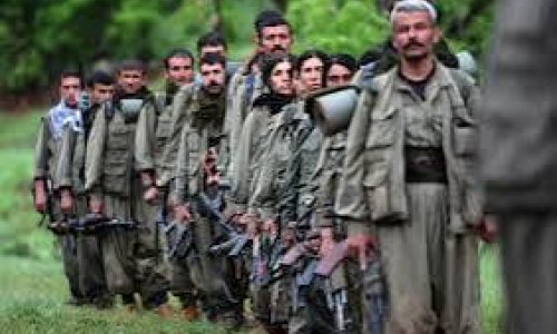 PKK-nın 3 üzvü zərərsizləşdirilib