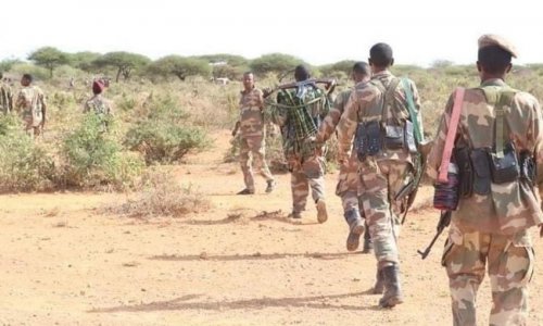 В Сомали ликвидированы 80 боевиков 