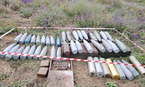 MoD: Over 1,184 hectares of land cleared of mines in Azerbaijan in July