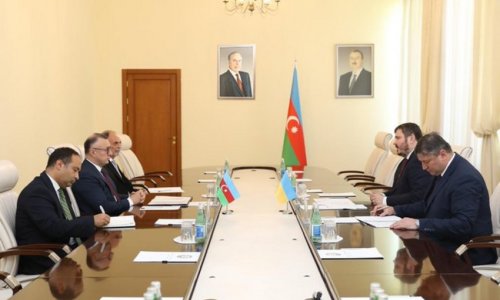 Ukraine thanks Azerbaijan for support in children's rehabilitation