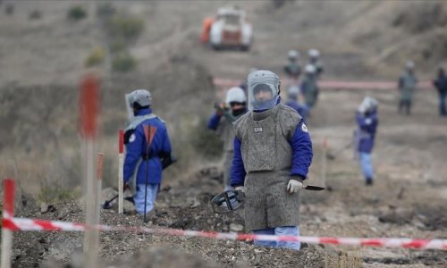 Nearly $350M spent on demining operations since Patriotic War