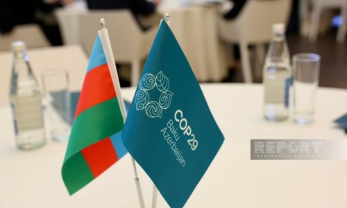 Азербайджан подготовит отчет о прозрачности до COP29