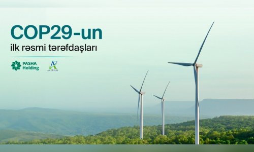 COP29-la bağlı 15 saxta resurs silinib - Dövlət Xidmətinin rəisi