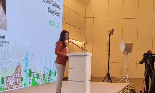 COP29-da metan emissiyalarının azaldılması aktual müzakirə mövzularından olacaq- DEPUTAT