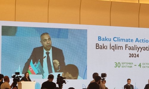 Azərbaycan elektrik enerjisinin 70%-ni təbii qazdan alır- Elnur Soltanov