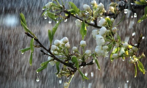 Hava şəraiti dəyişir, yağış yağacaq, çaylardan sel keçəcək - XƏBƏRDARLIQ