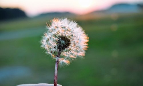 Sentyabrda havanın temperaturu əksər günlərdə iqlim normasından yüksək olub