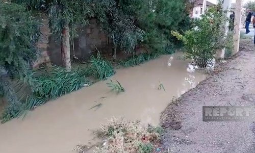 Hacıqabulda leysan yağışlar nəticəsində evləri su basıb