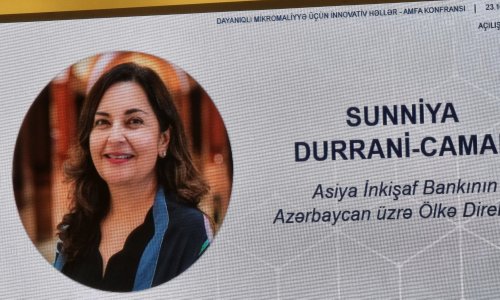 Azərbaycanda mikromaliyyə üçün kredit alanların 8%-i qadınlardır - Asiya İnkişaf Bankı