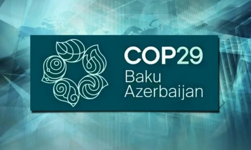 COP29 iştirakçılarının akkreditasiya kartlarının verilməsinə başlanılıb