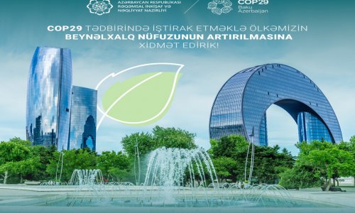 RİNN-in saytında COP 29-la bağlı xüsusi bölmə yaradılıb