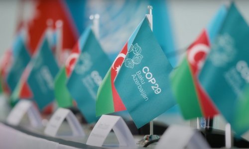 COP29-un birinci plenar iclası başa çatıb