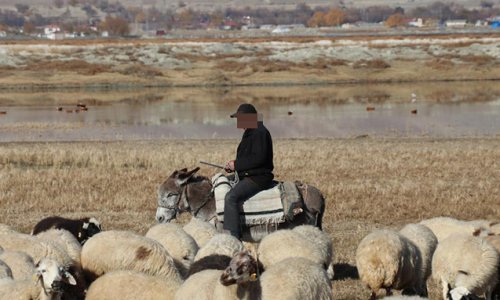 6 uşaq atası olan 37 yaşlı çobanın meyiti tapılıb