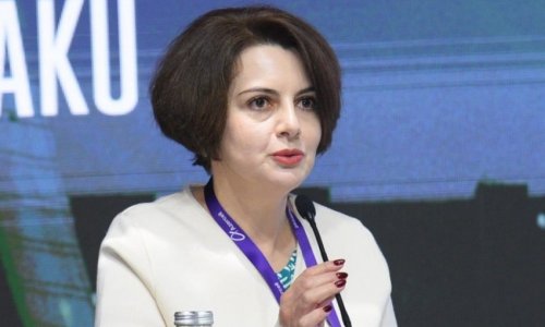 Azerbaijani official: EU countries will need more green energy imports