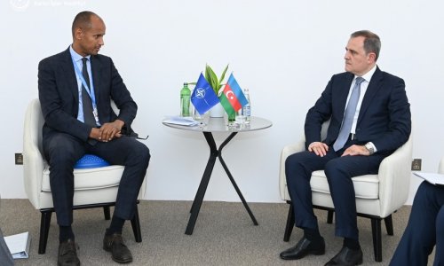 Jeyhun Bayramov meets NATO assistant secretary general