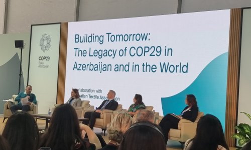 COP29 özəl şirkətlər üçün təcrübə oldu  - Natavan Məmmədova