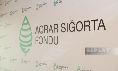 Aqrar Sığorta Fondu 10 aylıq nəticələri açıqlayıb