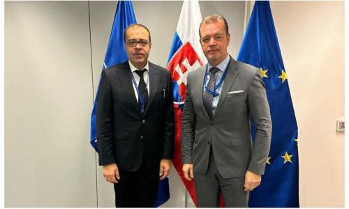 Azerbaijan, Slovakia discuss key aspects of cooperation with NATO