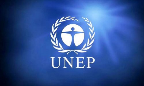 UNEP объявила лауреатов премии 