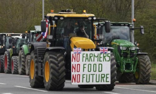 В Лондоне фермеры на тракторах вышли на протест