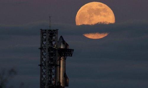 İtaliya SpaceX-dən şifrələmə texnologiyası ala bilər