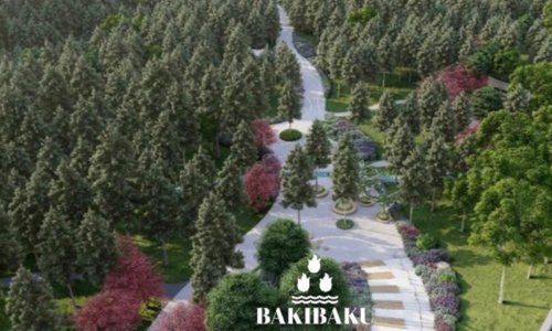 Paytaxtın bu ərazisində yeni park salınır