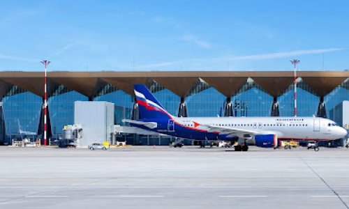 Rusiyada Pulkovo hava limanı bağlanıb