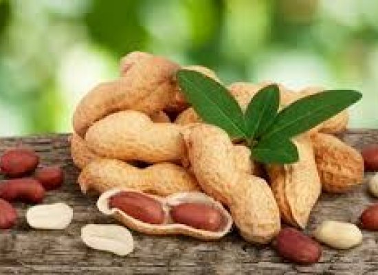 Uzbekistan exported 531.4 tonsof peanuts to Azerbaijan