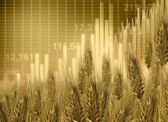 Wheat prices hit a nine-month low on improved crop outlook