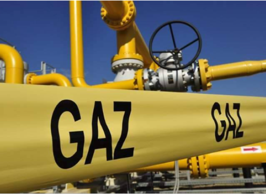 Senate discusses Turkmen gas transit via Azerbaijan