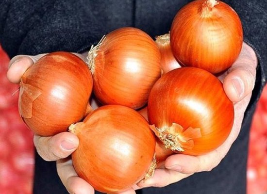 Azerbaijan destroys 639 kg of Russian-imported onion rings over bacterial contamination