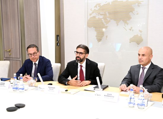 SOCAR prezidenti “Arthur D. Little” şirkətinin rəhbəri ilə görüşüb