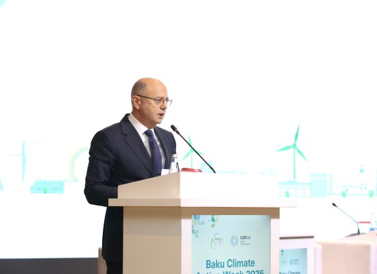 Azərbaycan 2030-cu ilədək bərpa olunan enerji gücünü 4 QVt-a çatdırmağı planlaşdırır - Nazir