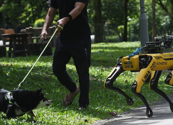 Çin alimləri Ay missiyaları üçün robot itləri lava mağaralarında sınaqdan keçirir