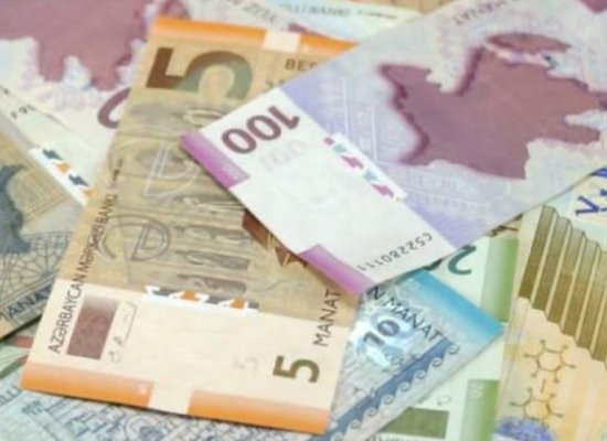 Naxçıvanda vergi ödəyicilərinə göstərilən xidmətlərin sayı artıb