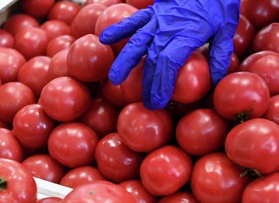 Azərbaycandan Rusiyaya pomidor ixracı son iki ayda minimum səviyyəyə düşüb