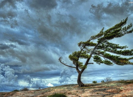 Sabahın hava proqnozu açıqlanıb