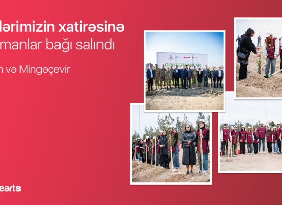 “Garden of Heroes” project: 543 trees planted in memory of martyrs