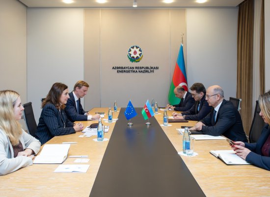 Energy minister meets head of EU Delegation to discuss cooperation prospects